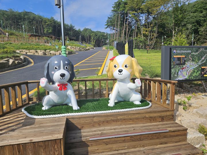 [대전=뉴시스] 국립김천숲속야영장이 4월부터 반려견 없어도 이용이 가능해 진다.(사진=국립산림휴양림관리소 제공) *재판매 및 DB 금지