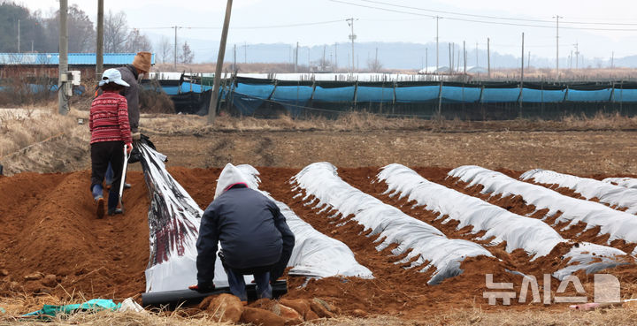 (사진=뉴시스 DB)