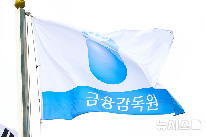 [서울=뉴시스] 황준선 기자 = 11일 서울 여의도 금융감독원. 2026.03.11. hwang@newsis.com