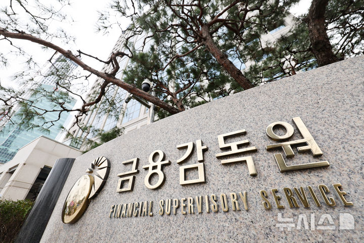 [서울=뉴시스] 황준선 기자 = 11일 서울 여의도 금융감독원. 2026.03.11. hwang@newsis.com