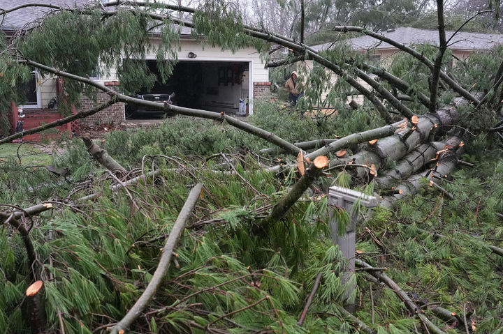 [인디애나주=AP/뉴시스] 11일(현지 시간) 미국 인디애나주 레이크 빌리지에서 토네이도 여파로 쓰러진 나무가 한쪽에 쌓여있다. 2026.03.12.