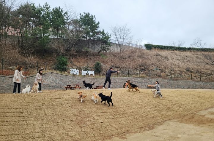 [부산=뉴시스] 사상 숲속 반려동물 놀이터. (사진=부산 사상구청 제공) 2026.03.12. photo@newsis.com *재판매 및 DB 금지