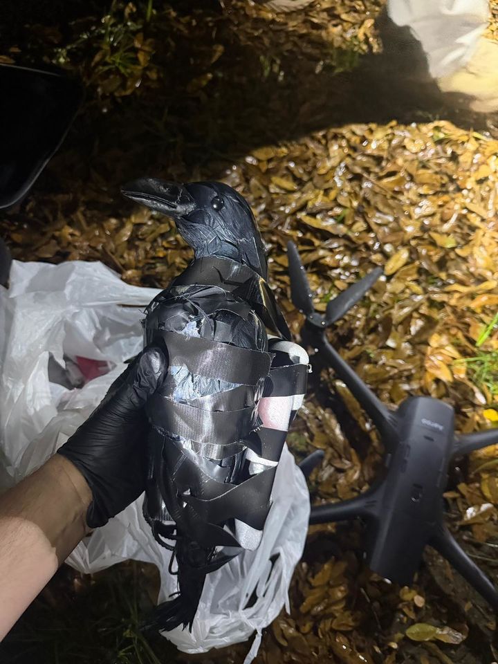 [뉴시스]미국 텍사스에서 드론을 이용해 마약 등의 밀수품이 담긴 플라스틱 까마귀 모형을 루이지애나주 연방 교도소로 반입하려던 여성 두 명이 체포됐다. (사진 = @Grant Parish Sheriff's Office 페이스북 캡처) *재판매 및 DB 금지