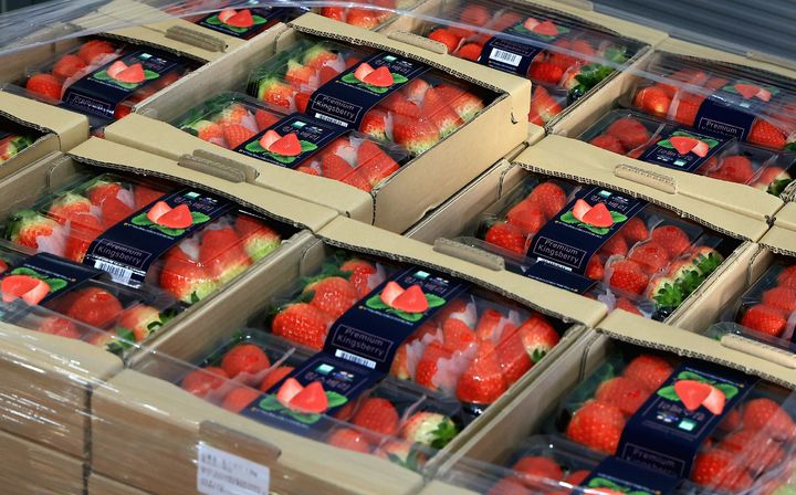 [세종=뉴시스] 수출되는 딸기 자료 사진. (사진=농림축산식품부 제공) *재판매 및 DB 금지