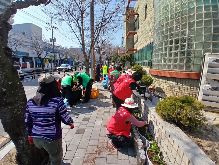[통영=뉴시스] 신정철 기자= 경남 통영시 봉평동행정복지센터는 지난 11일, 다가오는 봉숫골 꽃나들이 축제를 앞두고 자생단체 회원, 봉평동 직원 등 30여 명이 참여해 봄꽃 식재 및 관내 환경정비 활동을 벌였다. 사진은 봄꽃 식재 모습.(사진=통영시 제공).2026.03.12. photo@newsis.com *재판매 및 DB 금지