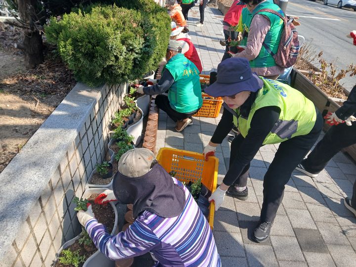 [통영=뉴시스] 신정철 기자= 경남 통영시 봉평동행정복지센터는 지난 11일, 다가오는 봉숫골 꽃나들이 축제를 앞두고 자생단체 회원, 봉평동 직원 등 30여 명이 참여해 봄꽃 식재 및 관내 환경정비 활동을 벌였다. 사진은 통영시 봉평오거리 일대의 비올라, 데이지, 페튜니아 등 봄꽃 9종 3800여 본 식재 모습.(사진=통영시 제공).2026.03.12. photo@newsis.com *재판매 및 DB 금지
