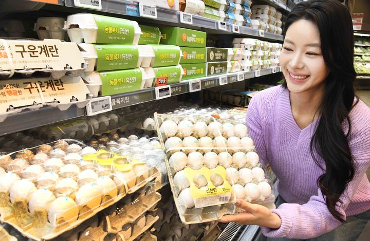 홈플러스가 농림축산식품부 미국산 신선란 추가 수입 물량 중 2만8000판을 확보해 오는 16일부터 전국 대형마트(서귀포점 제외)와 일부 홈플러스 익스프레스 점포에서 단독 판매한다고 13일 밝혔다. *재판매 및 DB 금지