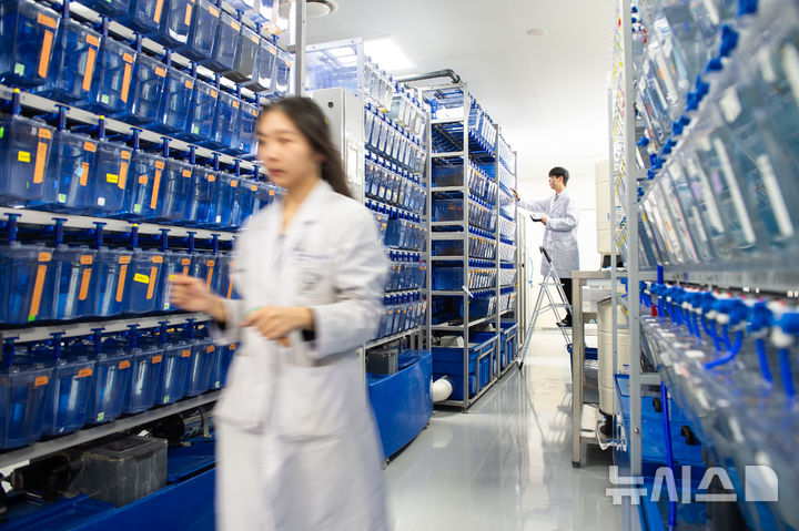 [서울=뉴시스] 국내 연구진이 인공지능(AI) 스크리닝 모델과 제브라피쉬(zebrafish) 동물 실험을 결합해 항생제에 의한 난청 부작용을 억제할 수 있는 후보 약물을 발굴했다. (사진= 고려대 안산병원 제공) 