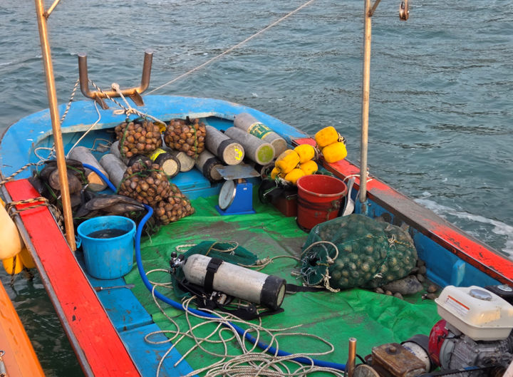[장흥=뉴시스] 완도해경이 전남 장흥군 득량만 일대 바다에서 검거한 불법 새조개 채취 어선. (사진=완도해경 제공) 2026.03.13. photo@newsis.com *재판매 및 DB 금지
