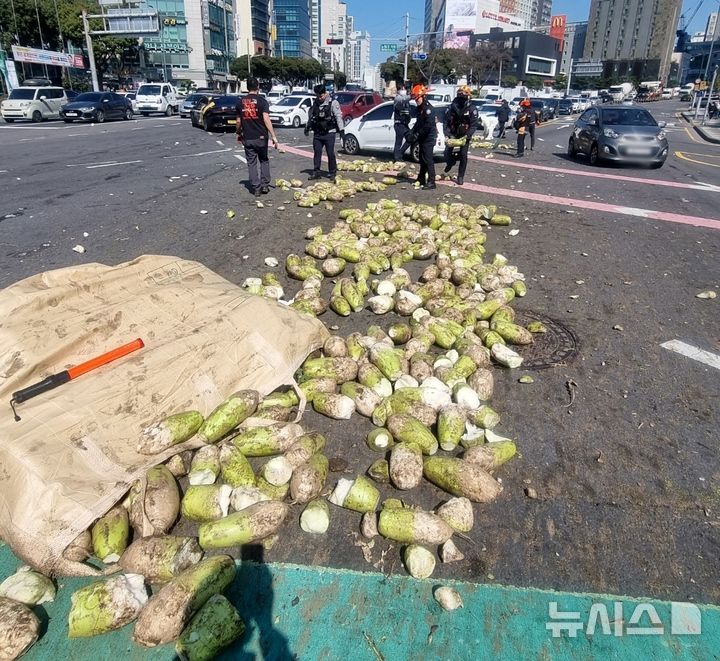 [제주=뉴시스] 13일 오후 오후 2시께 제주시 노형오거리에서 화물차에 실려있던 월동무 약 2t이 도로에 떨어져 시민·경찰·소방당국이 수거하고 있다. (사진=제주소방안전본부 제공) 2026.03.13. photo@newsis.com