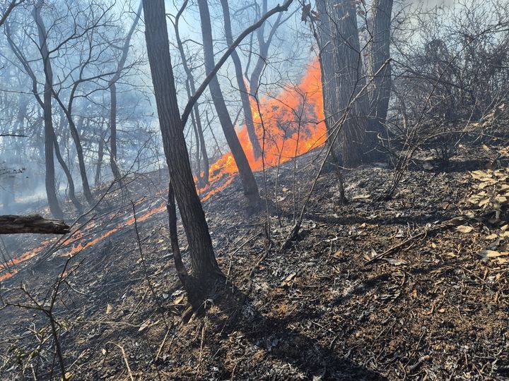 [금산=뉴시스] 13일 오전 11시12분께 충남 금산군 금성면 상가리 일원에서 산불이 나 불길이 번지고 있다. (사진=금산소방서 제공) 2026.03.13. photo@newsis.com *재판매 및 DB 금지