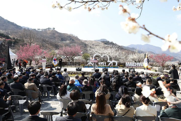 [광양=뉴시스] 13일 오후 광양시 광양매화마을에서 '제25회 광양매화축제' 개막식이 열리고 있다. (사진=광양시 제공) 2026.03.13. photo@newsis.com *재판매 및 DB 금지