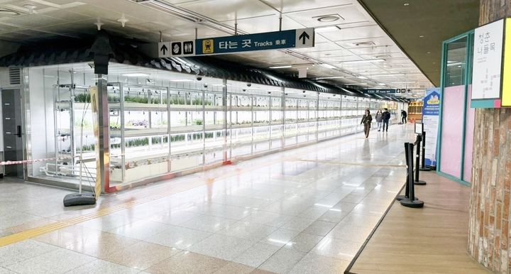 [대전=뉴시스]대전교통공사는 13일 대전역 지하 1층 유휴공간에 첨단 농업기술을 접목한 도심형 스마트팜 '대전팜(이엔후레쉬)'을 개장했다. 2026. 03. 13 photo@newsis.com *재판매 및 DB 금지