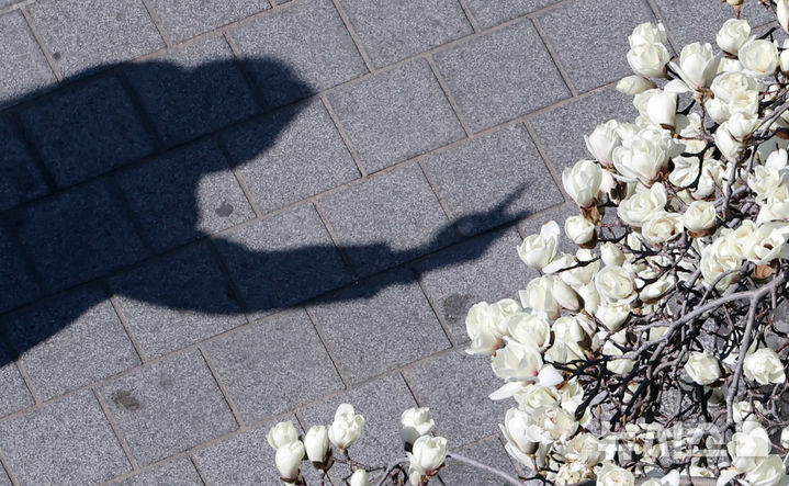 대구·경북, 흐리고 큰 일교차…아침 –1도·한낮 15도