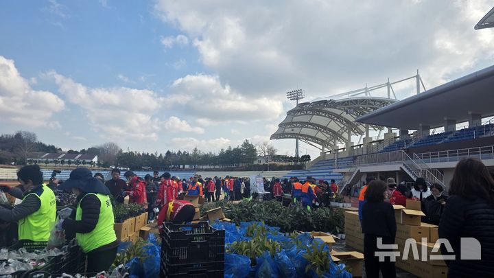 사천시, 식목일 앞두고 나무 나누어주기…2만2천본 배부