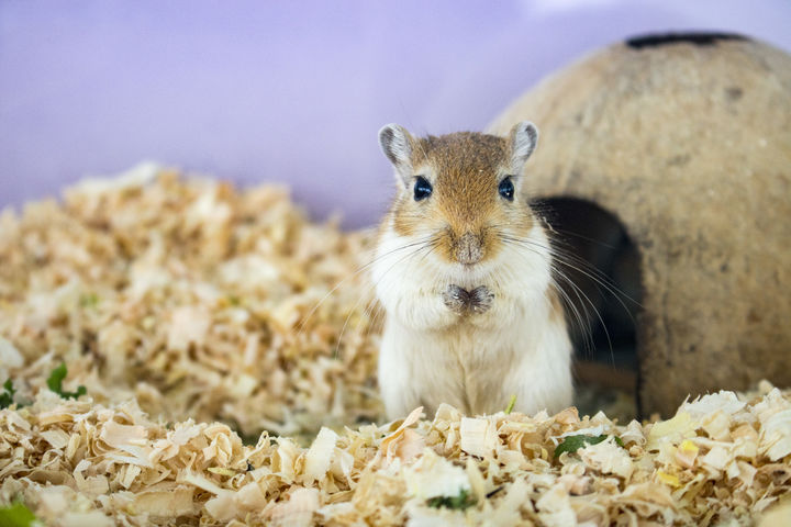 [뉴시스] 기사의 이해를 돕기 위한 이미지. (사진=유토이미지) *재판매 및 DB금지 *재판매 및 DB 금지