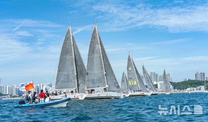 [포항=뉴시스] = 지난해 9월 포항시 북구 영일대해수욕장 일원에서 열린 '2025 환동해컵·원동컵 국제 요트대회. 2026.03.15. photo@newsis.com