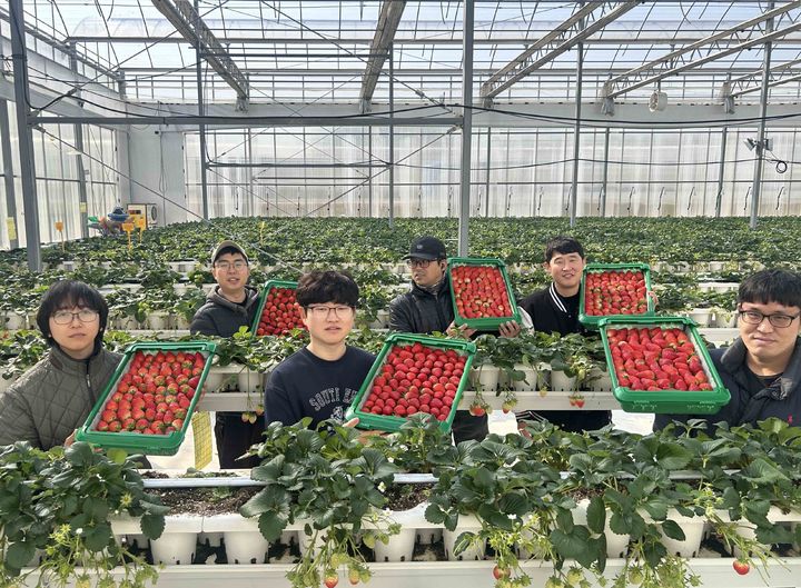 [서울=뉴시스] 경북 의성의 진한딸기 공선회. (사진=쿠팡 제공) *재판매 및 DB 금지