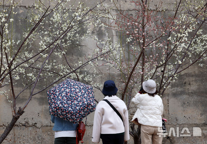 (사진=뉴시스 DB)