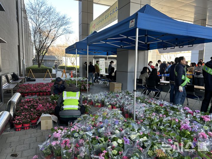 [용인=뉴시스] 지난해 수지구의 나무 나누어주기 행사 모습(사진=뉴시스 DB) photo@newsis.com