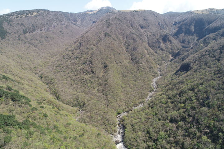[서울=뉴시스] 어리목계곡 전경 (사진=국가유산청 제공) 2026.03.16. photo@newsis.com *재판매 및 DB 금지