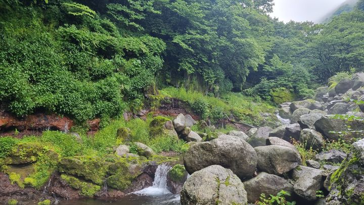 [서울=뉴시스] 어리목계곡 근경 (사진=국가유산청 제공) 2026.03.16. photo@newsis.com *재판매 및 DB 금지
