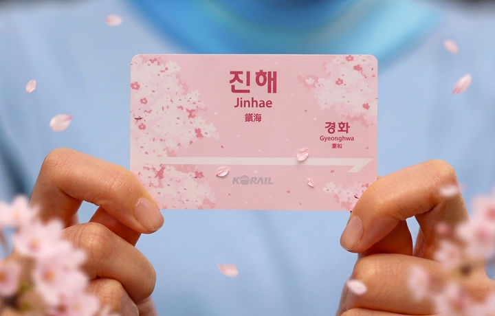 교통카드에도 봄바람…코레일 레일 플러스 카드 '벚꽃 에디션' 출시 