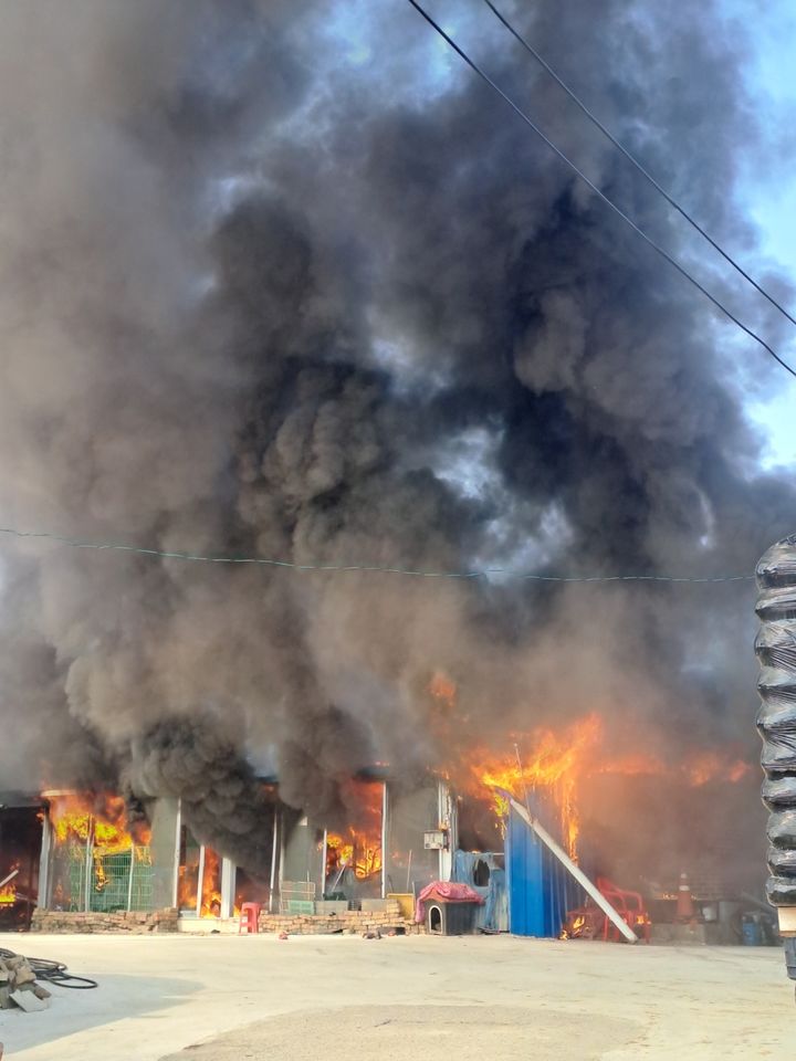 [김제=뉴시스] 16일 오전 11시7분께 전북 김제시 백산면의 한 단독주택에서 불이 나 불길이 치솟고 있다. (사진=전북도소방본부 제공) 2026.03.16. photo@newsis.com *재판매 및 DB 금지