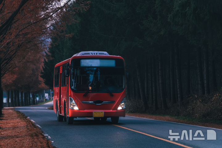 [뉴시스] 독일 15세 소년이 여자친구를 등교시키려 훔친 버스로 130km를 운전하다 적발됐다. *기사 본문과는 무관한 사진. (사진=유토이미지)