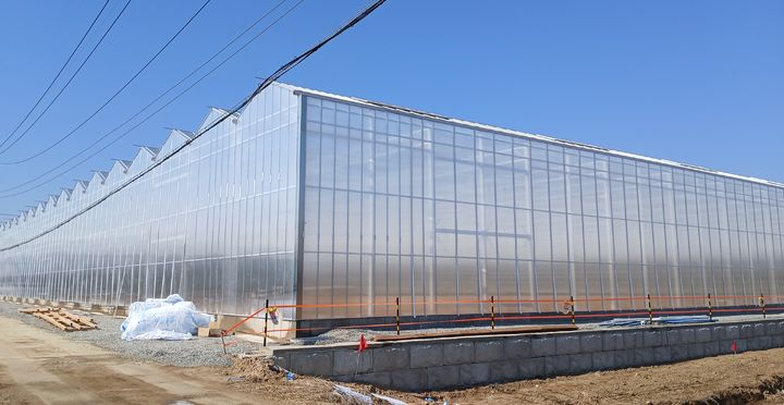 [청주=뉴시스] 막바지 공사 중인 청주형 스마트팜 원예단지. photo@newsis.com *재판매 및 DB 금지