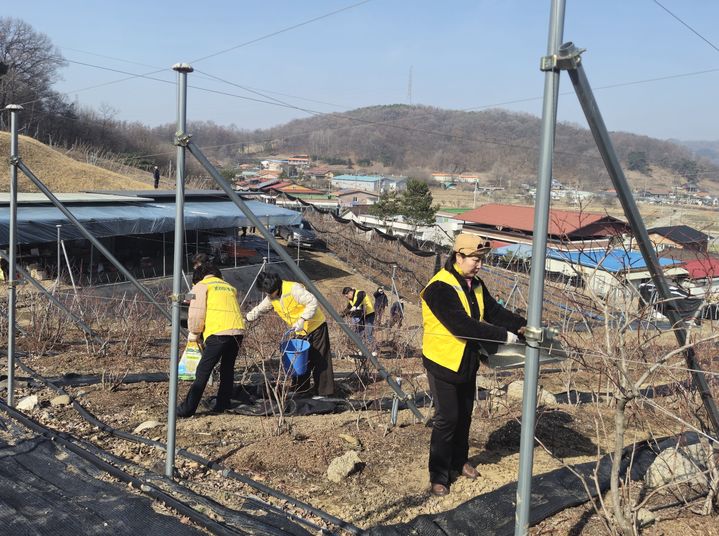 '문화제조창 달밤투어' 신청접수…"선착순 30명 모집" 등[청주소식]