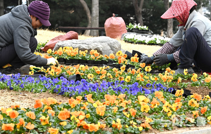 (사진=뉴시스 DB)