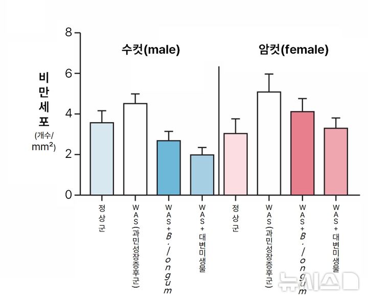 [서울=뉴시스] 과민성장증후군 실험쥐에 미생물 기반 치료 시 효과. 수컷 쥐(파란색)에서 비만세포 감소가 암컷(빨간색)보다 두드러진다. (사진= 분당서울대병원 제공)