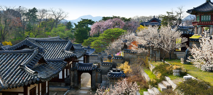 [서울=뉴시스] 낙선재 봄 전경 (사진=국가유산청 제공) 2026.03.17. photo@newsis.com *재판매 및 DB 금지