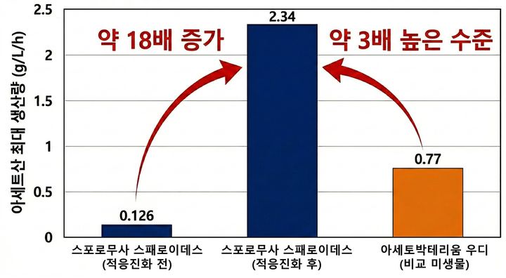 [세종=뉴시스] 적응 진화된 미생물의 아세트산 생산량 비교. (사진=국립생물자원관 제공) 2026.03.17. photo@newsis.com *재판매 및 DB 금지