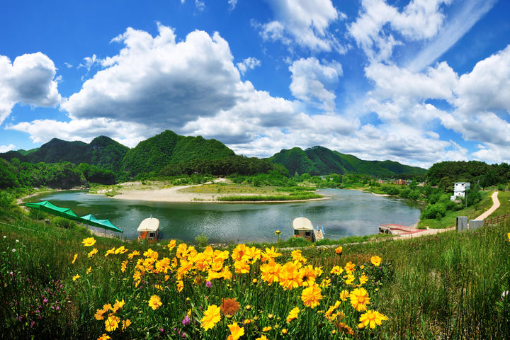 [서울=뉴시스] 청령포 전경. (사진=국립공원공단 제공) 2026.04.02. photo@newsis.com *재판매 및 DB 금지