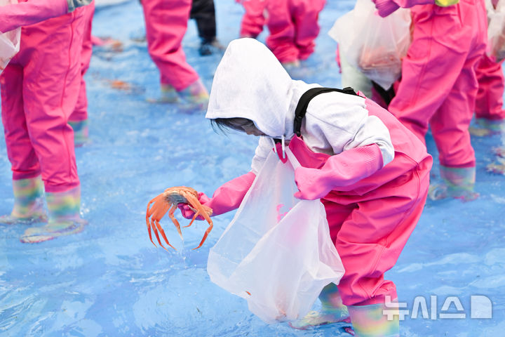[영덕=뉴시스] 안병철 기자 = 지난 2025년에 열린 제28회 영덕대게축제 어린이 게판 체험 프로그램 모습.(사진=영덕군 제공) 2026.03.17. photo@newsis.com