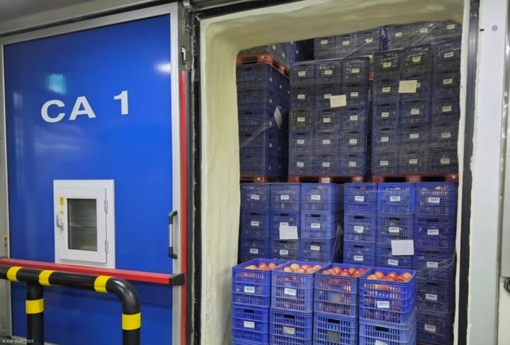 [서울=뉴시스] 롯데마트가 '기체 제어(CA, Controlled Atmosphere)' 저장 기술을 활용한 사과를 본격 출하하며 이상기후에 따른 수급 불안 대응에 나선다고 18일 밝혔다.(사진=롯데마트 제공) *재판매 및 DB 금지 *재판매 및 DB 금지