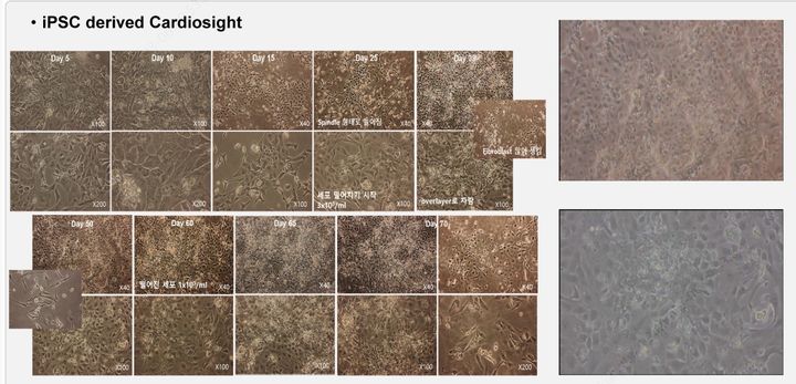 [사진=뉴시스] 차세대중형위성 3호에 탑재된 한림대 바이오캐비넷에서의 줄기세포 배양 추이. (사진=바이오캐비넷 제공) 2026.03.17. photo@newsis.com *재판매 및 DB 금지