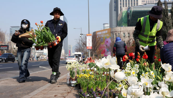 [서울=뉴시스] 조성우 기자 = 17일 서울 중구 서울광장에서 봄꽃 식재 작업이 한창인 가운데 한 시민이 마스크를 쓴 채 이동하고 있다. 2026.03.17. xconfind@newsis.com