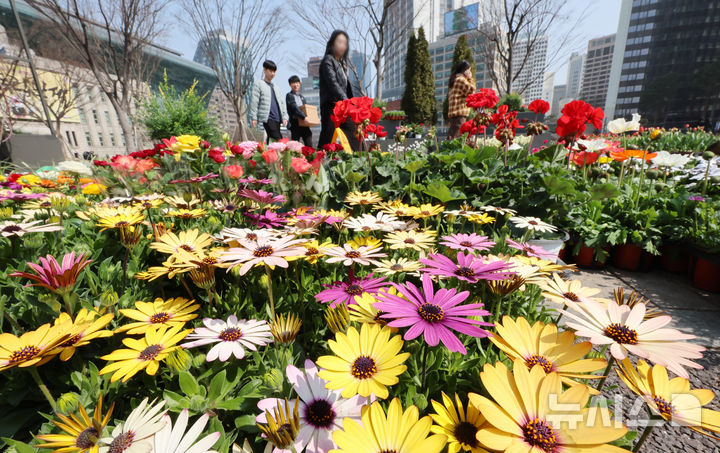 [서울=뉴시스] 조성우 기자 = 17일 서울 중구 서울광장에서 봄꽃 식재 작업이 한창인 가운데 시민들이 그 앞을 오가고 있다. 2026.03.17. xconfind@newsis.com