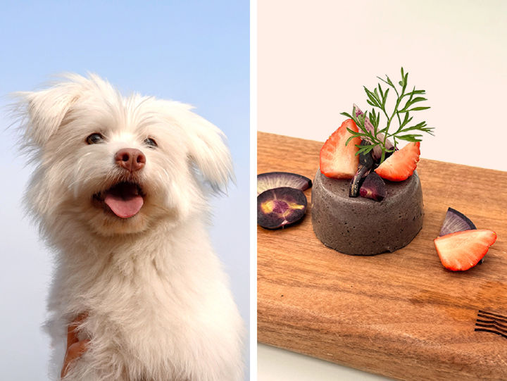 [구미=뉴시스] 팜한농 체험 이벤트. (사진=팜한농 제공) 2026.03.18 photo@newsis.com *재판매 및 DB 금지