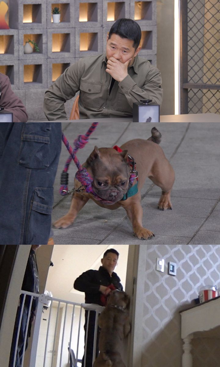 [서울=뉴시스] 동물훈련사 강형욱이 강한 공격성을 보이는 반려견의 행동을 분석하며 자신의 부상 경험담을 털어놓는다. (사진=채널A) 2026.03.18. photo@newsis.com *재판매 및 DB 금지