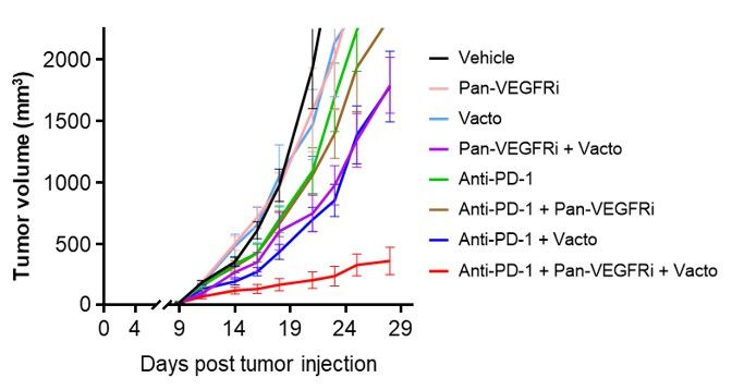 [서울=뉴시스] 백토서팁 삼제병용과 타 요법의 대장암 종양억제율 비교 (사진=메드팩토 제공) 2026.03.18. photo@newsis.com *재판매 및 DB 금지