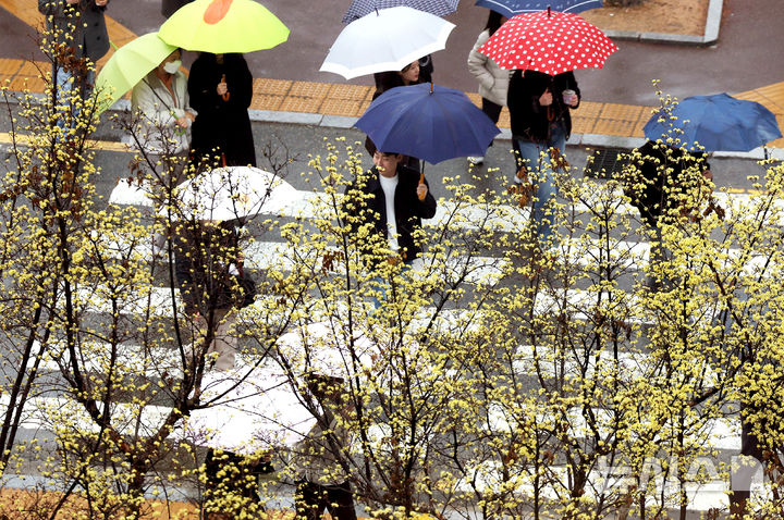 울산 낮까지 가끔 비소식, 5㎜ 미만…아침 9도·한낮 13도