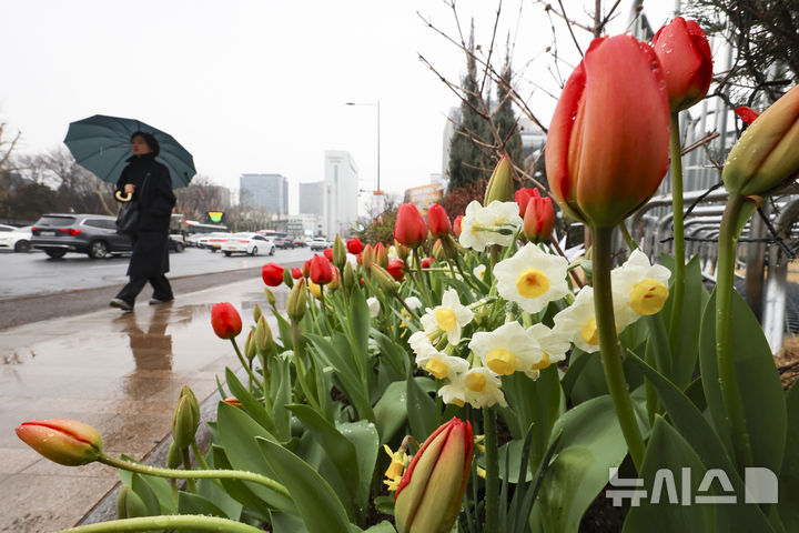 [서울=뉴시스] 김근수 기자 = 전국에 봄비가 내리는 가운데 18일 오전 서울시청 인근에서 시민이 우산을 쓰고 지나가고 있다. 2026.03.18. ks@newsis.com