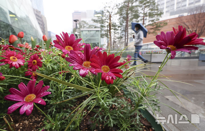 [서울=뉴시스] 김근수 기자 = 전국에 봄비가 내리는 가운데 18일 오전 서울시청 인근에서 시민이 우산을 쓰고 지나가고 있다. 2026.03.18. ks@newsis.com