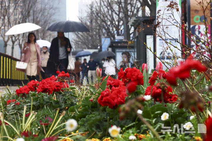 [서울=뉴시스] 김근수 기자 = 전국에 봄비가 내리는 가운데 18일 오전 서울 중구 세종대로 인근에서 시민들이 우산을 쓰고 지나가고 있다. 2026.03.18. ks@newsis.com