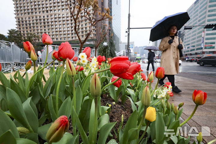 [서울=뉴시스] 김근수 기자 = 전국에 봄비가 내리는 가운데 지난 18일 오전 서울시청 인근에서 시민들이 우산을 쓰고 지나가고 있다. 2026.03.18. ks@newsis.com