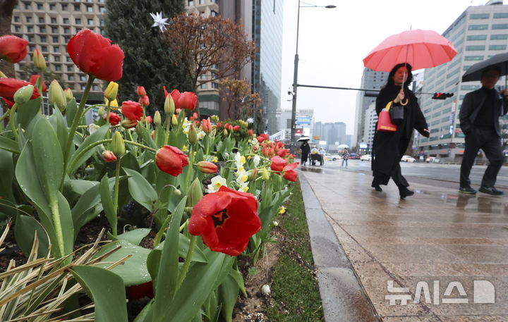 [서울=뉴시스] 김근수 기자 = 전국에 봄비가 내리는 가운데 지난달 18일 오전 서울시청 인근에서 시민들이 우산을 쓰고 지나가고 있다. 2026.03.18. ks@newsis.com